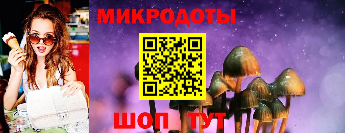 Галлюциногенные грибы мухоморы Верхняя Салда